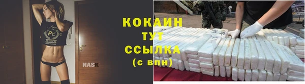 соль ск Алексин