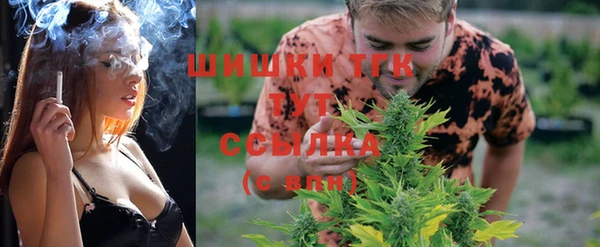 соль ск Алексин