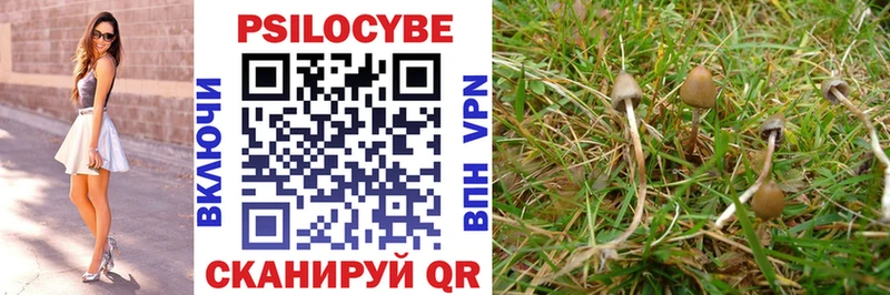 Псилоцибиновые грибы Psilocybine cubensis Далматово