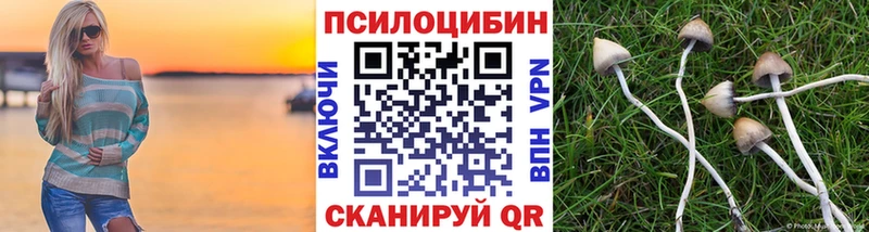 Псилоцибиновые грибы мицелий  Далматово 
